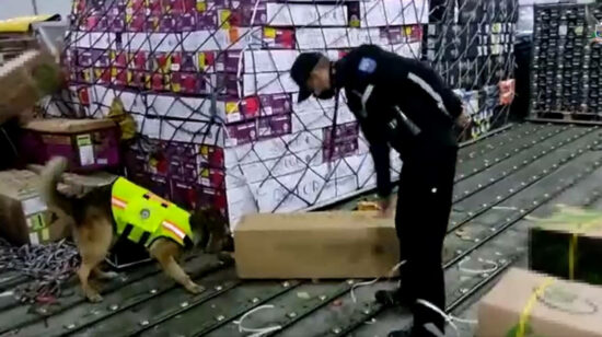 La Policía de Ecuador decomisó 25 kilos de cocaína entre flores de exportación. Quito, 19 de diciembre de 2022