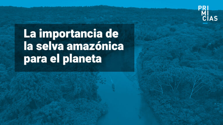 La importancia del bosque tropical más grande del mundo: la selva amazónica